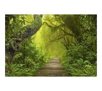 YongFoto 3x2m Vinyl Photo Backdrop Green Forest Jungles View Big Old Trees Narrow Wooden Path Photography Background Portrait Photo Shoot Studio Props