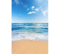 YongFoto 3x3m Vinyl Beach Photo Backdrop Seaside Landscape Blue Sky White Clouds Beach Backdrop for Photography Party Hawaiian Luau Scene Setters Personal Portrait Photo Background Studio Props