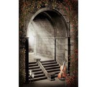 YongFoto 3x5ft Backdrop Garden Scene Stone Arch Stair Flowers Enchanted Violin Mysterious Party Decoration Castle Background for Princess Kids Adults Artistic Portrait Photography Wallpaper