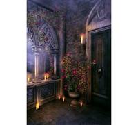 YongFoto 3x5ft Medieval Castle Backdrop Gothic Ancient Castle Door Balcony Flower Candles Night Photo Wall Background Medieval for Kids Adults Witch Magic Party Portrait Photography Accessories