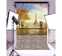 YongFoto 3x5ft Photography Backdrop Panorama of Paris Eiffel Tower Landscape Backdrops for Photography Photo Shoots Party Newborn Kids Baby Personal Portrait Vinyl Photo Background Studio Props