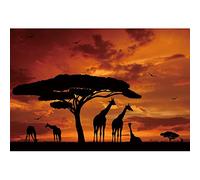 YongFoto 5x3ft Wildlife Backdrop Sunset Natural Landscape Safari Giraffe Tree Silhouette Evening Glow Outdoor Background for Kids Jungle Theme Party Banner Supplies Photo Booth Prop Room Decoration