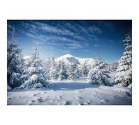 YongFoto 5x3ft Winter Snow Scenery Photography Backdrop Christmas Trees Snowy Moutain Blue Sky Nature Landscape Background Xmas Family Party Decor Children Portraits Photo Studio Props Vinyl