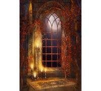 YongFoto 6x8ft Castle Backdrop Scene Gothic Window Candlestick Flower Moon Night Medieval Vintage Photography Background for Girls Adults Kids Interior Theme Party Professional Photo Studio Props
