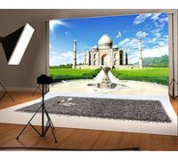 YongFoto 7x5ft Photography Backdrop reen Grass Field India Taj Mahal Historical Sites Scenery Backdrops Photography Photo Shoots Party Newborn Kids Baby Personal Portrait Photo Background Studio Props