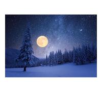 YongFoto 7x5ft Winter Forest Photo Backdrop Snowy Trees Dreamlike Starry Sky Full Moon Night Nature Scenery Photography Background Tree Landscape Portrait Child Adults Photoshoot Studio Props