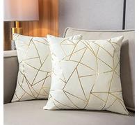 YONGLIU Throw Pillow Covers Velvet Decorative 2 Packs Ultra-Soft Cushion Case for,Christmas,Sofa,Bedroom,Car (YLC036, 18“X18”)