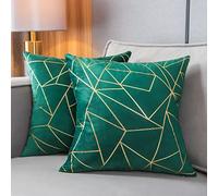 YONGLIU Throw Pillow Covers Velvet Decorative 2 Packs Ultra-Soft Cushion Case for,Christmas,Sofa,Bedroom,Car Living Room (Alpine Green, 16"X16")