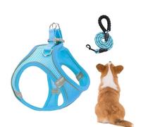 Yonuaret Cat Harness and Leashes Set,Mesh Harness and Dog Leashes Combo - Adjustable Puppies Kitten Cat Vest for Car Travel Night Walking Hiking Training