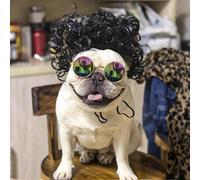 YOOCHUENG Funny Dog Wig,Pet Cosplay Wigs,Fancy Cat Headwear,Pet Costumes,Creative Cat Halloween Headwear,Christmas Outfit for Small Dogs,Black