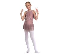 YOOJIA Kids Girls Tassel Gymnastics Leotard Bodysuit Latin Jazz Samba Salsa Dance Dress Figure Ice Skating Costume Dancewear Dusty Pink 10 Years