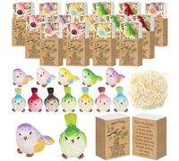 Yookeer 24 Sets Inspirational Christmas Employee Appreciation Gift, Christmas Positive Resin Multicolored Bird with Cheer Card Box for Family Friend Women Men Office Coworkers Boss