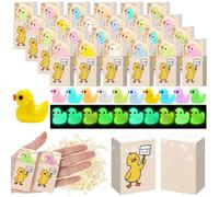 Yookeer 30 Sets Funny Christmas Middle Finger Resin Duck Glow in the Dark Resin Duck with Your Present Is Inside Box, Naughty Christmas Party Gift for Family Friend Women Men Office Coworker Boss
