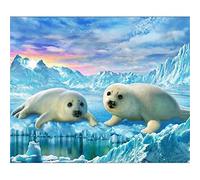 Yoonqun 5D Diamond Painting Kit Animals Seal, Adults/Kids DIY Diamond Painting by Numbers, Full Drill Diamond Embroidery Painting Cross Stitch Art for Home Wall Decor Round Drill 40x50cm(16x20inch)