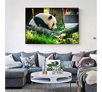 Yoonqun 5D DIY Diamond Painting Kits,Animal Panda Diamond Art Kits for Adults Kids Full Drill Crystal Rhinestone Dot Embroidery Cross Stitch Canvas Crafts for Home Wall Decor (50x70cm/20x28in)