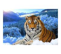 Yoonqun 5D DIY Diamond Painting Kits,Tiger Snow Diamond Art Kits for Adults Kids Full Drill Crystal Rhinestone Dot Embroidery Cross Stitch Canvas Crafts for Home Wall Decor (70x90cm/28x36in)