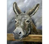 Yoonqun Paint by Numbers for Adults,DIY Donkey Animals Paint by Numbers Kits,with Paintbrushes Acrylic Canvas Oil Painting Arts Crafts for Home Wall Decor - Framed,16x20 inch