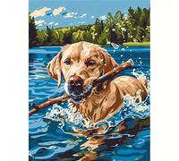 Yoonqun Paint by Numbers Ocean Dog Scenery 8x12 inch Paint by Numbers Kits for Adults,Framed DIY Canvas Oil Painting Kit for Beginner,Acrylic Pigment Drawing Paintwork Art for Home Wall Decor