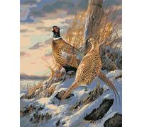 Yoonqun Pheasant Paint by Number Kits,Painting by Numbers on Canvas Paint by Numbers for Adults Beginner Kids DIY Oil Painting Arts Crafts for Home Wall Decor Gifts - Frameless,16x20 inch