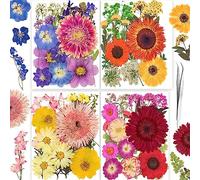 YoothBro 111PCS Real Nature Dried Pressed Flowers for Resin Mold, Dry Pressing Floral with Butterfly Transparent Stickers Set for DIY Jewelry Making Nail Card Scrapbook Art Craft Love Parade