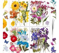 YoothBro 148PCS Real Nature Dried Pressed Flowers for Resin Mold, Dry Pressing Floral with Butterfly Transparent Stickers Set for DIY Jewelry Making Nail Card Scrapbook Art Craft Decors Romantic Road