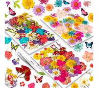 YoothBro 151PCS Real Nature Dried Pressed Flowers for Resin Mold, Dry Pressing Floral with Butterfly Transparent Stickers Set for DIY Jewelry Making Nail Card Scrapbook Art Craft Cute Meet