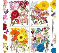 YoothBro 154PCS Real Nature Dried Pressed Flowers for Resin Mold, Dry Pressing Floral with Butterfly Transparent Stickers Set for DIY Jewelry Making Nail Card Scrapbook Art Craft Endless Love