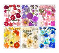 YoothBro 221PCS Real Nature Dried Pressed Flowers for Resin Mold, Dry Pressing Floral with Butterfly Transparent Stickers Set for DIY Jewelry Making Nail Card Scrapbook Art Craft Eternity Summer