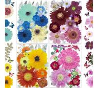 YoothBro 269PCS Dried Pressed Flowers for Resin Craft Real Nature Flowers Set with Butterfly Stickers for DIY Jewelry Nail Scrapbook Art Floral Decors Iridescent