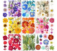 YoothBro 269PCS Dried Pressed Flowers with Butterfly Stickers - YouthBro Real Nature Flowers Set for Resin Craft DIY Jewelry Nail Scrapbook Art Floral Decors Iridescent Style