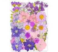 YoothBro 40pcs Purple Dried Pressed Flowers for Resin Molds,Real Natural Pressed Flowers for DIY Art Crafts,Candle Making, Nails Décor,Soap Making, Phone Case