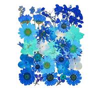 YoothBro Blue Dried Pressed Flowers for Resin Molds,Real Natural Pressed Flowers for DIY Art Crafts,Candle Making, Nails Décor,Soap Making, Phone Case