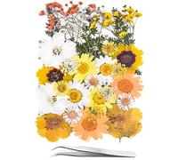 YoothBro Dried Pressed Flowers for Resin Molds,Real Natural Pressed Flowers for DIY Art Crafts,Candle Making, Nails Décor,Soap Making, Phone Case Yellow White