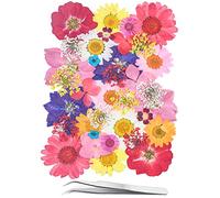 YoothBro Dried Pressed Flowers for Resin Molds,Real Natural Pressed Flowers for DIY Art Crafts,Candle Making, Nails Décor,Soap Making, Phone Case Red Pink