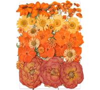 YoothBro Orange Dried Pressed Flowers for Resin Molds,Real Natural Pressed Flowers for DIY Art Crafts,Candle Making, Nails Décor,Soap Making, Phone Case