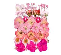 YoothBro Pink Dried Pressed Flowers for Resin Molds,Real Natural Pressed Flowers for DIY Art Crafts,Candle Making, Nails Décor,Soap Making, Phone Case