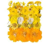YoothBro Yellow Dried Pressed Flowers for Resin Molds,Real Natural Pressed Flowers for DIY Art Crafts,Candle Making, Nails Décor,Soap Making, Phone Case