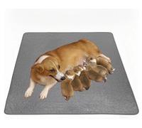 YOOTUKL Extra Large Washable Pee Pads for Dogs,Reusable Puppy Training Pads Super Absorbent Leakproof Non-Slip for Potty, Whelping, Playpen, Crate, Sofa, Car, (Grey, 92122cm 2 Pack)