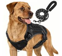 YooxArmor Heavy Duty Tactical Dog Harness and Leash Set for Medium Dogs,S | No Pull Adjustable,2 Leash Clip,Breathable Padded,Easy Control Handle for Training Walking,Black