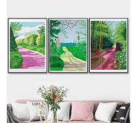 Yooyu David Hockney Wall Art Print, Frameless, 60x80cm, 3 Pack, Living Room Decor