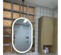 Yopappol Bathroom Mirrors Wall Mounted LED Oval Mirror, Ceiling Mounted Suspended Mirrors, Modern HD Glass Vanity Makeup Mirror, Boom Customizable(40cmx70cm)