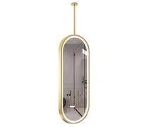 Yopappol Ceiling Mount Mirrors for Bathrooms Suspend Vanity Makeup Mirror with Ceiling Hanging Rod and Lights, LED Oval Decorative Glass Mirror(40cmx60cm)