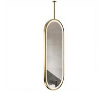 Yopappol Ceiling Mounted Oval Mirror with LED Lights, Floating Decorative Wall Mirror, Metal Framed HD Glass Mirrors for Makeup Bathroom Living Room Entryway(50cmx70cm)