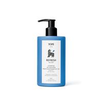 YOPE | Men's Shampoo for Oily and Sensitive Skin | Natural 98% | Refreshing and Purifying | Vegan | Sulphate Free | With Hops and Soothing Acid | Fresh Citrus Perfume | 300 ml