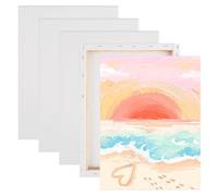 YOPEUC Set of 5 Artist Framed Canvas,40x30 CM Blank Canvas Boards for Painting 1.6cm Thick,Art Canvas for Painting,Painting Canvas Board for Kids & Artist,Stretched Canvases