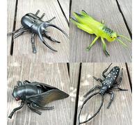 YORISMAL Rhinoceros Beetle, Grasshopper, Cicada, Bock Beetle, Educational Display Pieces for Children, Realistic Models of Insects and Animals, School Projects, Birthday Gifts on the Theme of Insects