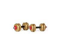 York 11kg Adjustable Dumbbell Set in Gold York Gold