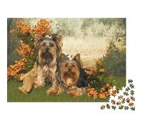 Yorkie Dogs 1000 Pc Cardboard DIY Cute Pet Portraits Jigsaw, Concentration Training Teens, Stress Relief, Vibrant Colours & After-School Fun 52x38cm/1000pcs