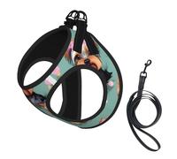 Yorkie Floral Print Soft Mesh Dog Harness and Leash Set Pet Puppy Cat Comfort Padded Vest No Pull Harnesses