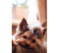 Yorkie Notebook: Premium Yorkie Journal - With 10 Free, Beautiful of Yorkie Pencil Sketches Throughout Book - 6X9 Inch Yorkie Diary (100 Lined Pages) (Dog Notebook, Journal and Diaries)